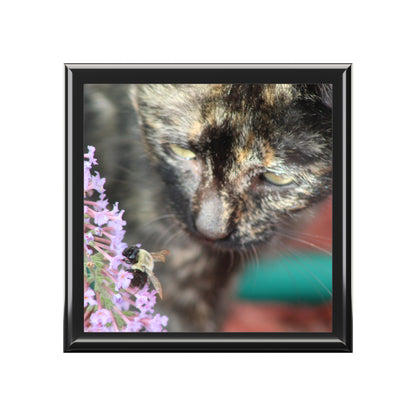 Curious Cat With Bee Jewelry Box