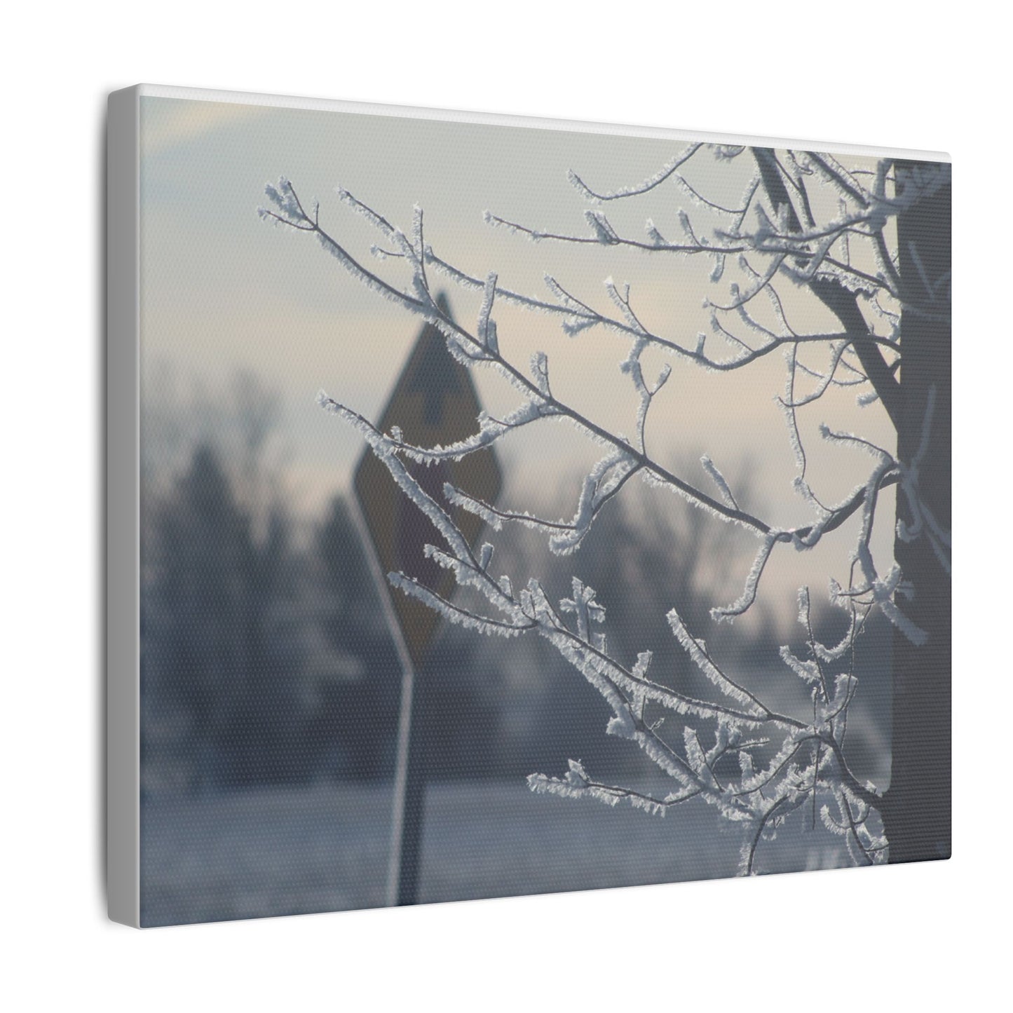 Winter First On A Tree Matte Canvas, Stretched, 0.75"