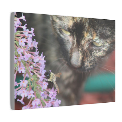 Canvas Print - Curious Cat with Bee