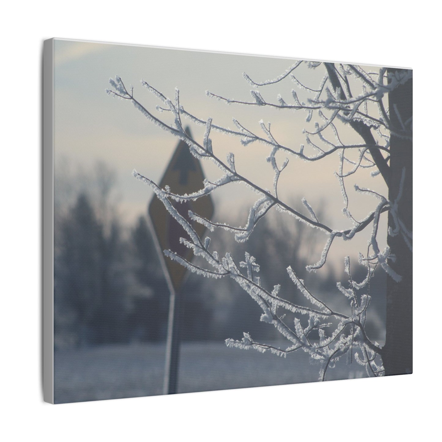 Winter First On A Tree Matte Canvas, Stretched, 0.75"