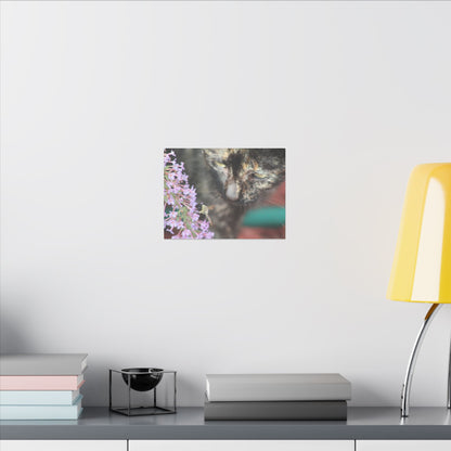 Canvas Print - Curious Cat with Bee