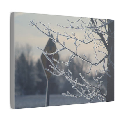 Winter First On A Tree Matte Canvas, Stretched, 0.75"