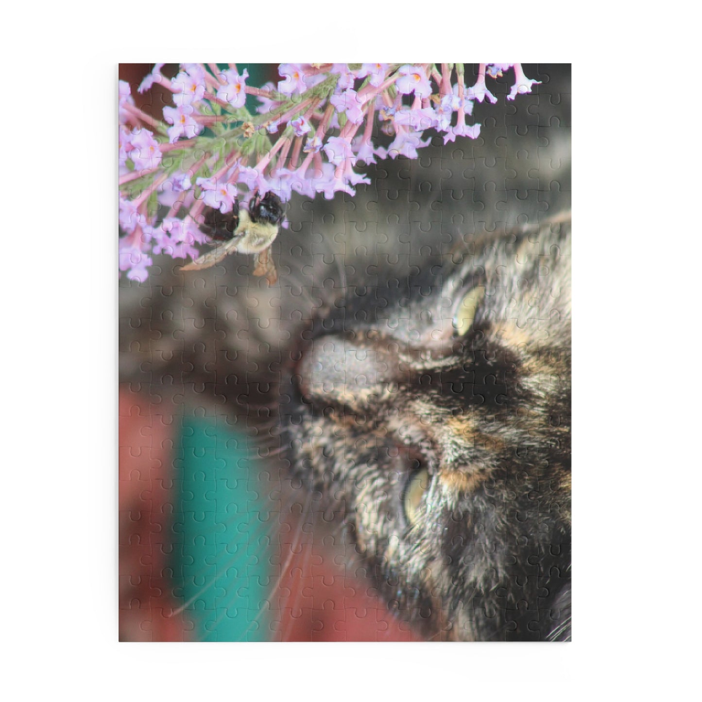 Curious Cat With Bee Puzzle (120, 252, 500-Piece)